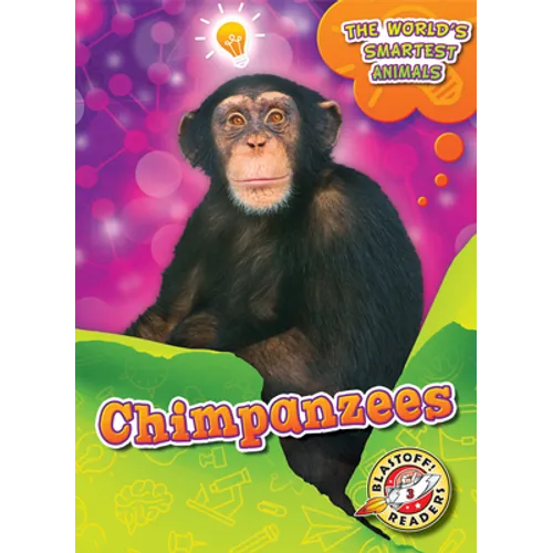 Chimpanzees