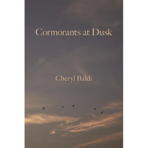 Cormorants at Dusk