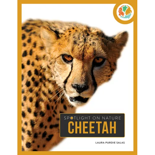 Cheetah