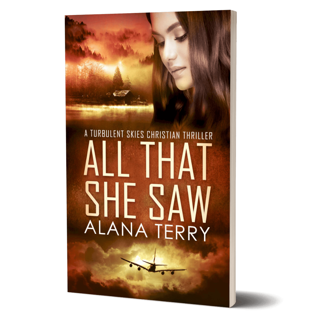 All That She Saw: Turbulent Skies #4 Book