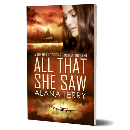All That She Saw: Turbulent Skies #4 Book