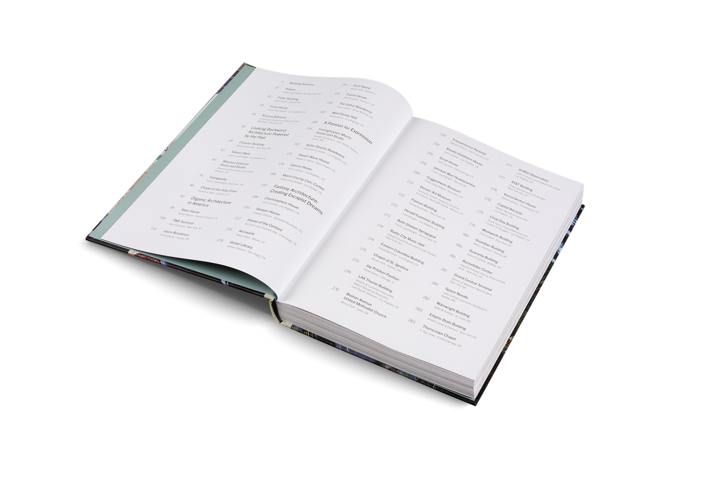 American Icons Book