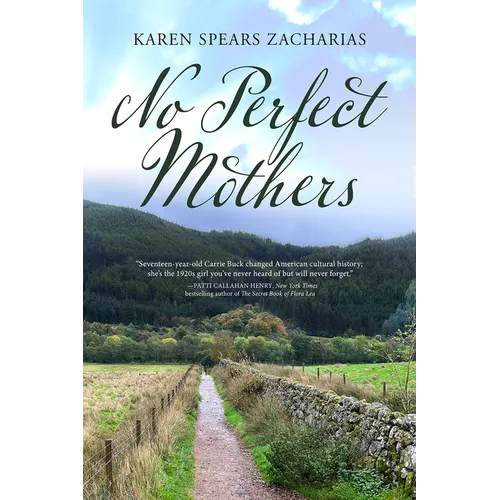 No Perfect Mothers