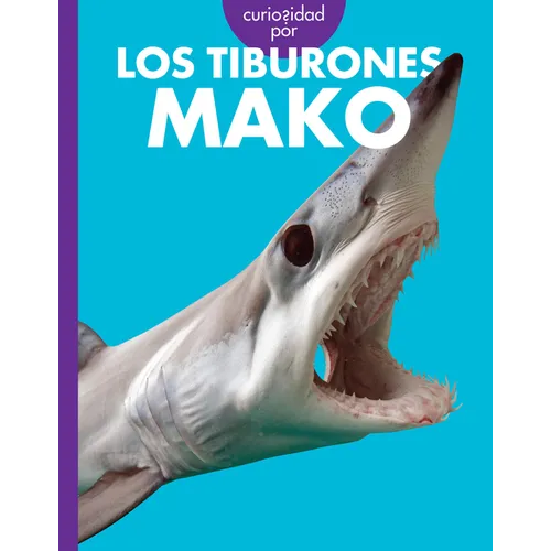 Curiosidad Por Los Tiburones Mako