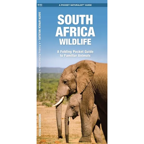 South Africa Wildlife: A Folding Pocket Guide to Familiar Animals