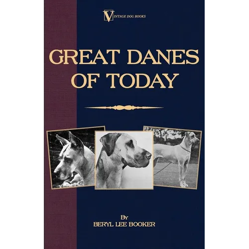 Great Danes of Today