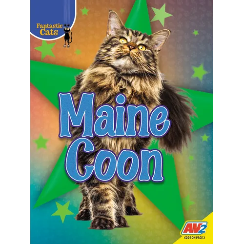 Maine Coon