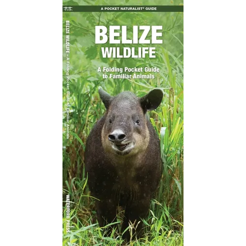 Belize Wildlife: A Folding Pocket Guide to Familiar Animals