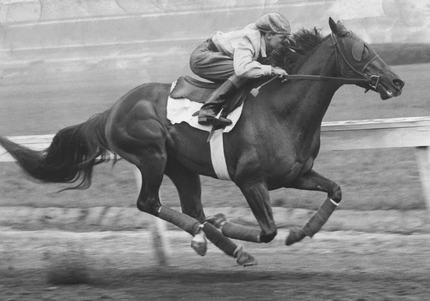 150 Years of the Kentucky Derby Book