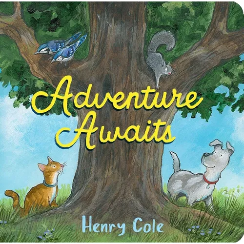 Adventure Awaits