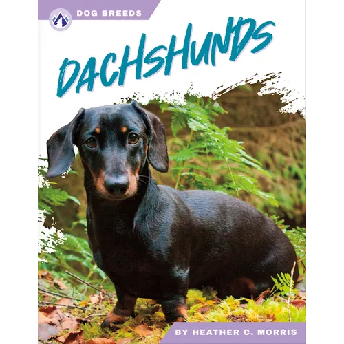 Dachshunds