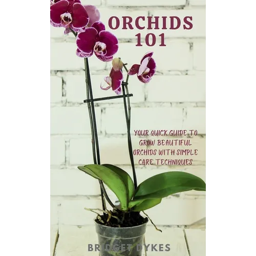 Orchids 101: Your quick guide to grow beautiful orchids with simple care techniques