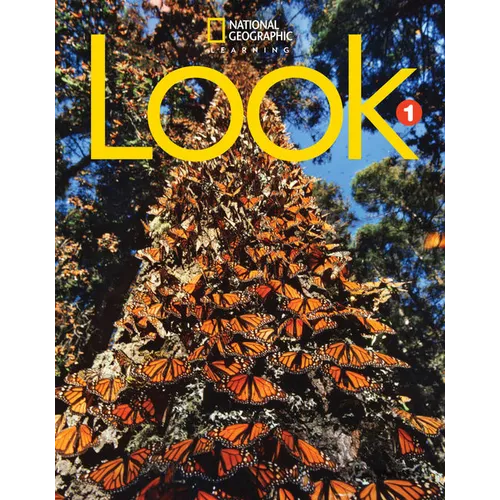Look 1 (British English)