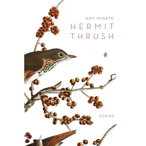 Hermit Thrush