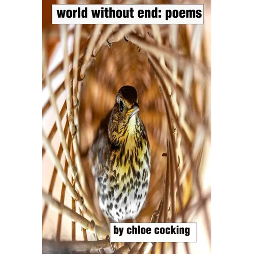 world without end: poems