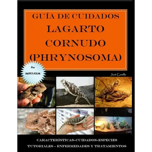 Guía de cuidados del lagarto cornudo (Phrynosoma) Versión económica