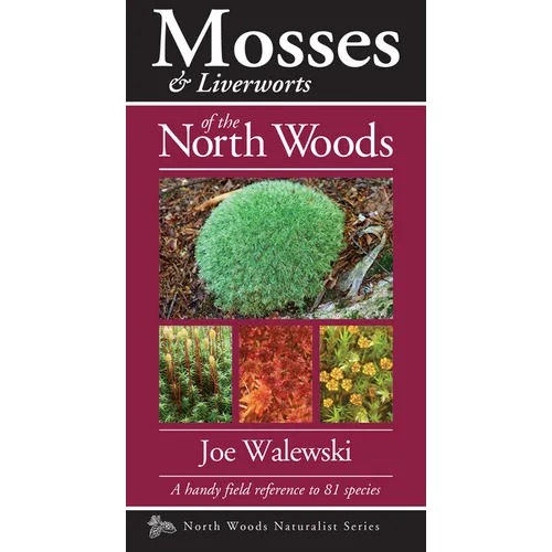 Mosses & Liverworts of the North Woods: A Handy Field Reference to 81 Species