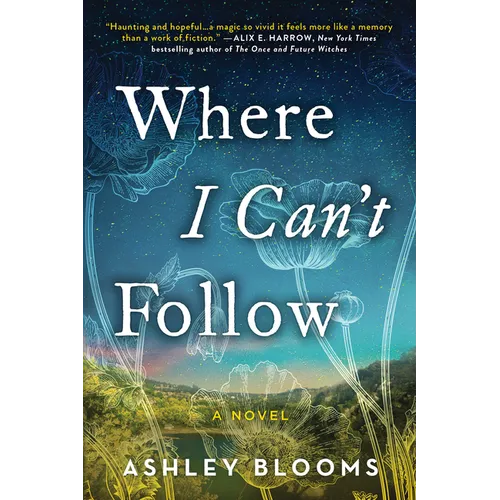 Where I Can't Follow