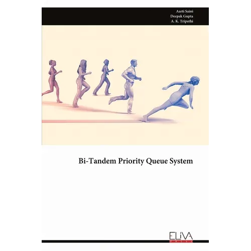 Bi-Tandem Priority Queue System