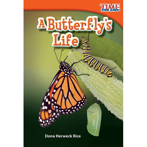 A Butterfly's Life