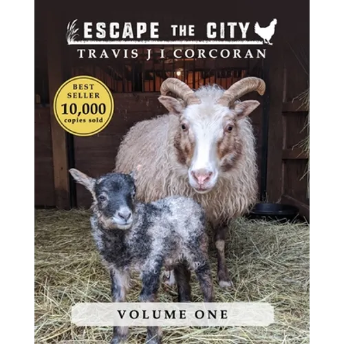 Escape the City volume 1