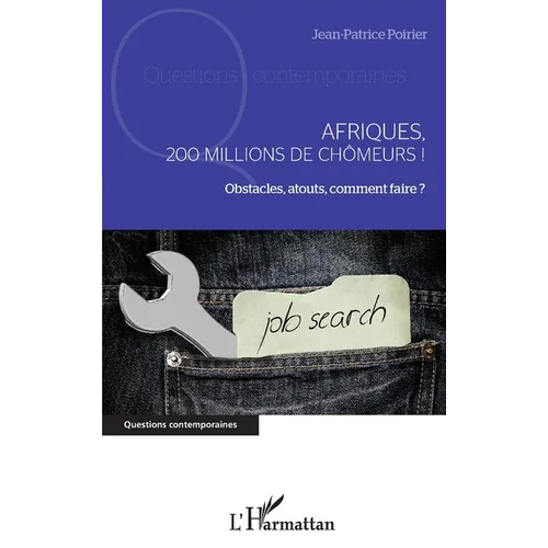 Afriques, 200 millions de chômeurs !: Obstacles, atouts, comment faire ?