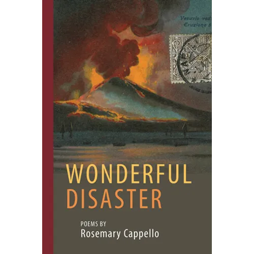 Wonderful Disaster