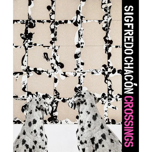 Sigfredo Chacón: Crossing