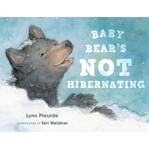 Baby Bear's Not Hibernating