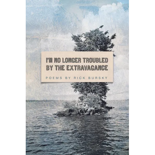 I'm No Longer Troubled by the Extravagance