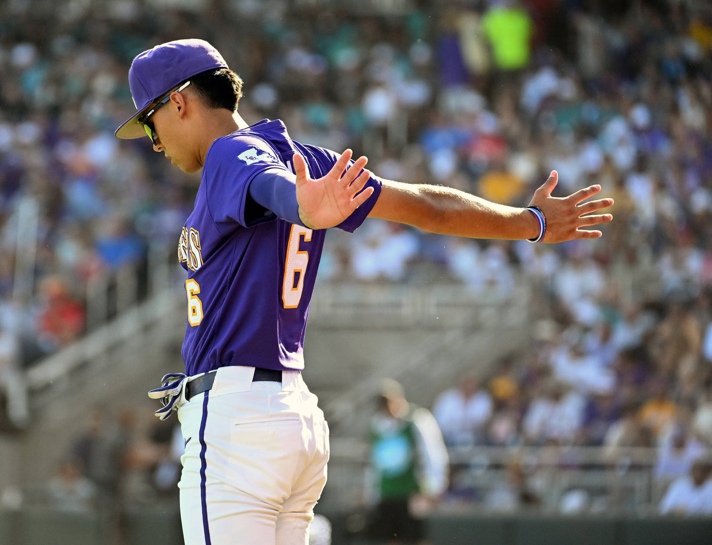 Great Eight: The story of LSU Baseball's eighth national championship Book