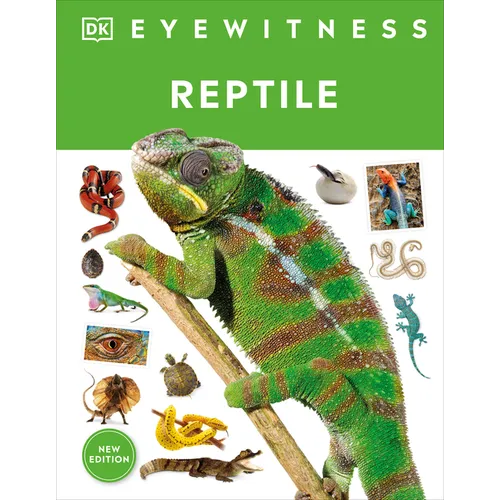 Eyewitness Reptile