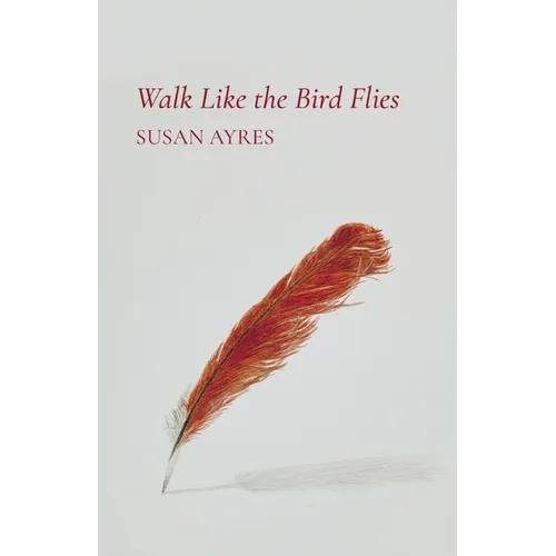 Walk Like the Bird Flies