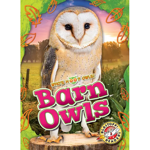Barn Owls