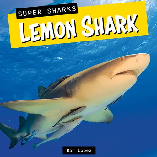Lemon Shark