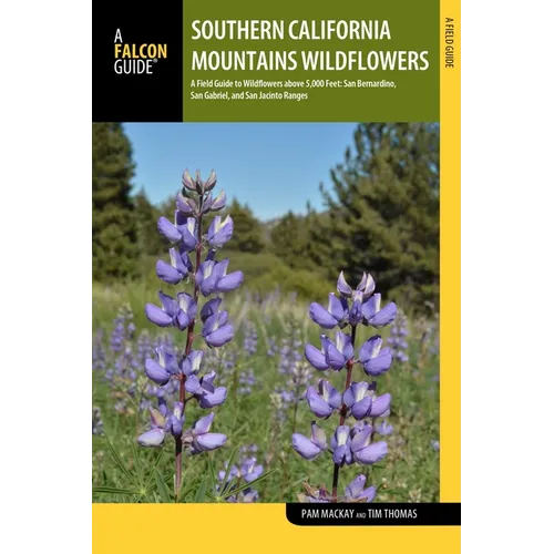 Southern California Mountains Wildflowers