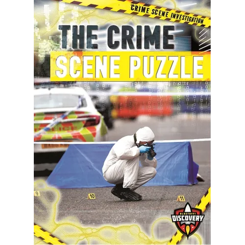 The Crime Scene Puzzle