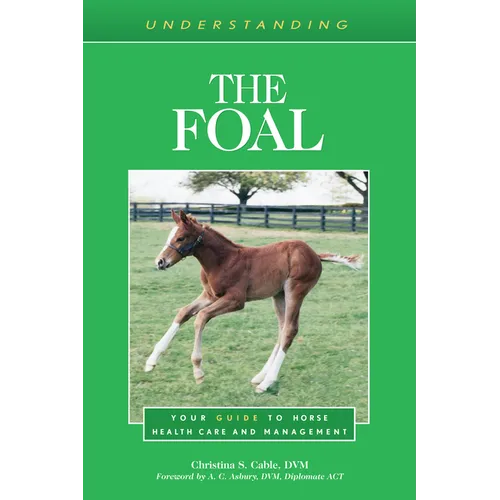 Understanding the Foal: Your Guide to Horse Health Care and Management