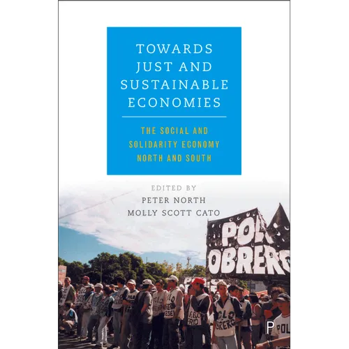 Towards Just and Sustainable Economies: The Social and Solidarity Economy North and South
