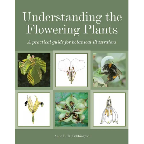 Understanding the Flowering Plants: A Practical Guide for Botanical Illustrators