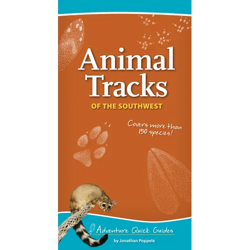 Animal Tracks of the Southwest: Your Way to Easily Identify Animal Tracks