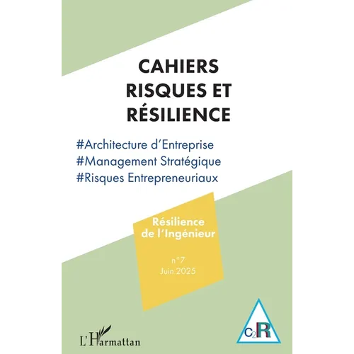 Résilience de l'Ingénieur: Architecture d'Entreprise
