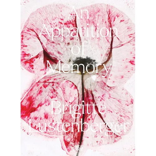 Brigitte Lustenberger: An Apparition of Memory