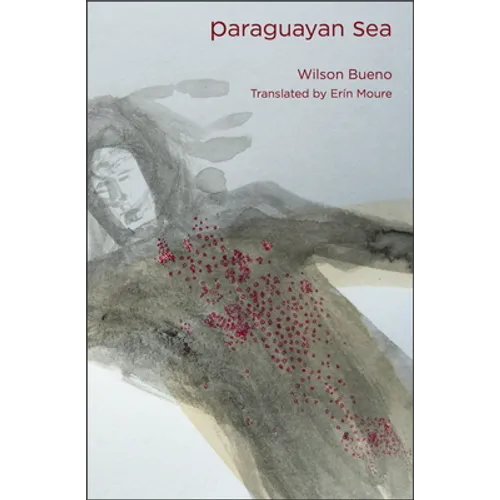 Paraguayan Sea