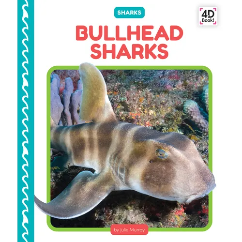 Bullhead Sharks