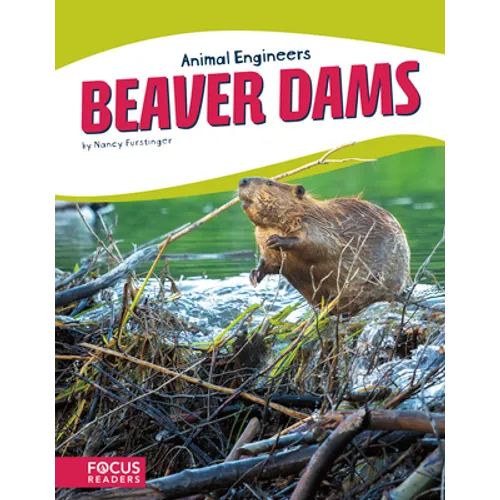 Beaver Dams