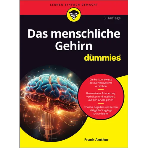 Das menschliche Gehirn für Dummies
