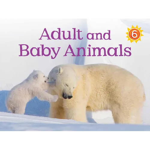Adult and Baby Animals: English Edition