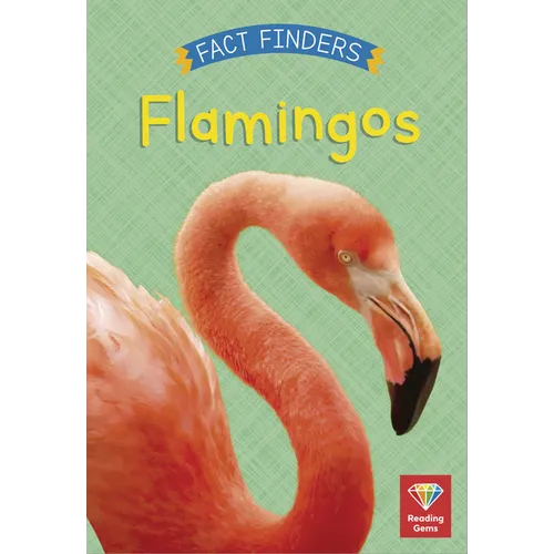 Flamingos