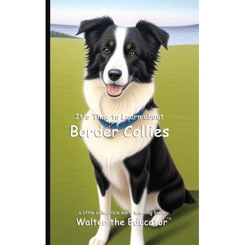 It's Time to Learn about Border Collies